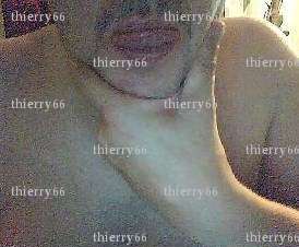 thierry66 - Homme échangiste - Saint-Laurent-de-la-Salanque