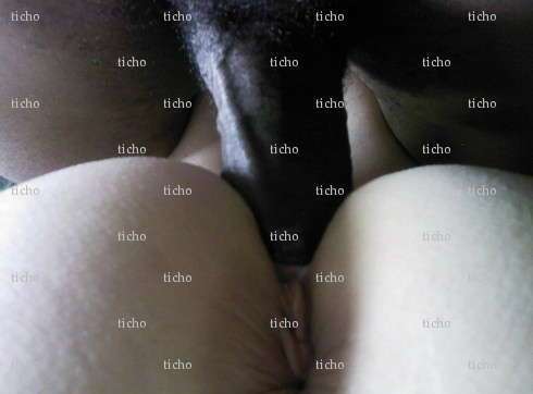 ticho - Homme coquin - Dammartin-en-Goële