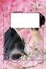 tiggrou67 Couple Femme bi 27 et 29 ans Sarre-Union