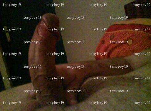 tonyboy19 - Homme BDSM - Tulle