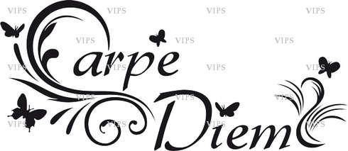 VIPS - Couple échangiste - Douai