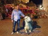 VOLTIGE Homme 45 ans Valenciennes