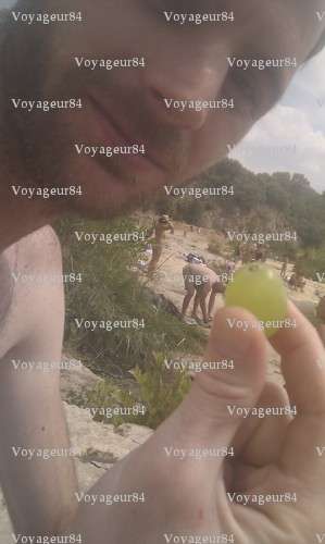 Voyageur84 - Homme candaulisme - Dieppe