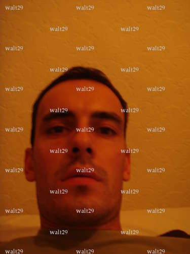 walt29 - Homme libertin - Nantes