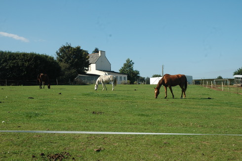 witten - Homme bi échangiste - Landivisiau