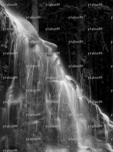 yfalno59 - Couple échangiste - Lille