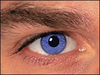 yxbleux28 Homme 53 ans Luisant