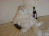 zizanie Couple 42 et 42 ans Carcassonne